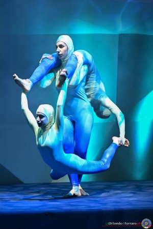 fgi divise freddy lanterna ph di tondo   ferraro 2552